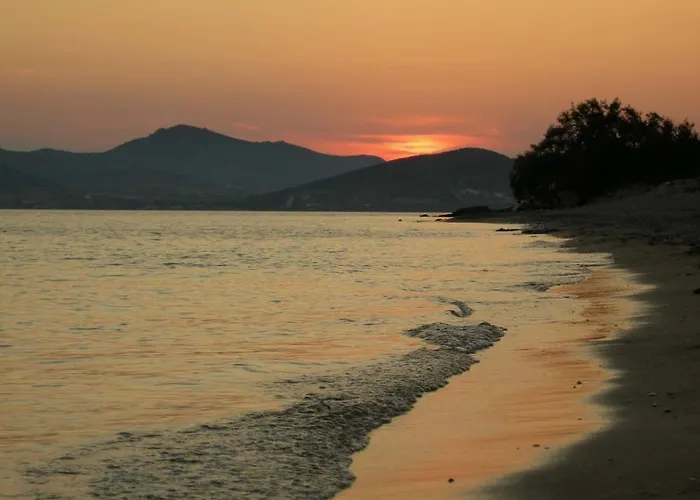 To The Garden Lantställe *